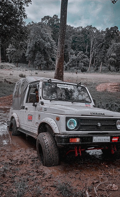 利物浦有机 利物浦有机