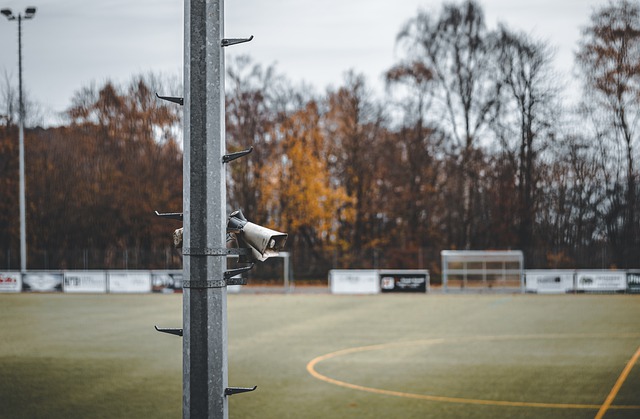 運動與文化 運動與文化