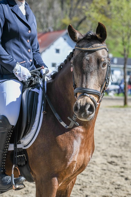 击败爵士队 击败爵士队
