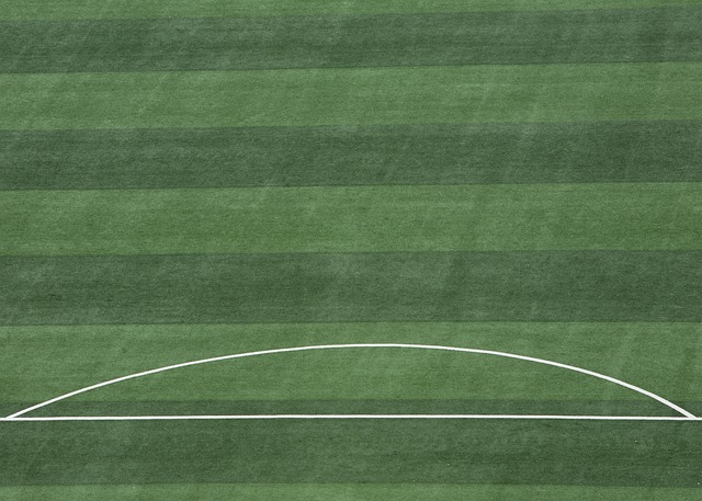 年世界杯期 年世界杯期