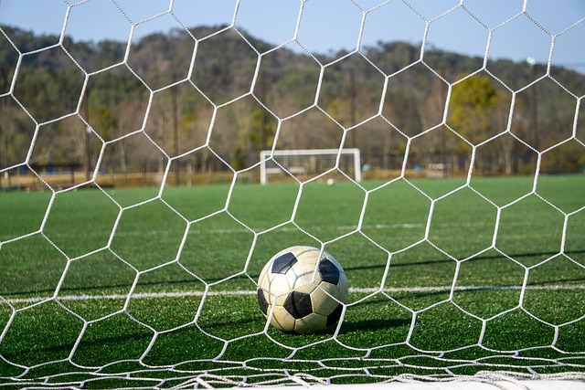 强扳平的战 强扳平的战