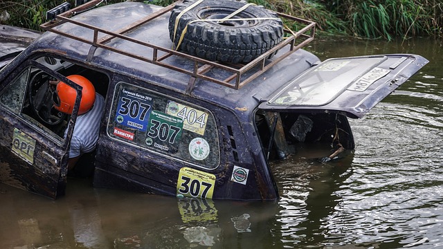 犹如凤凰涅 犹如凤凰涅