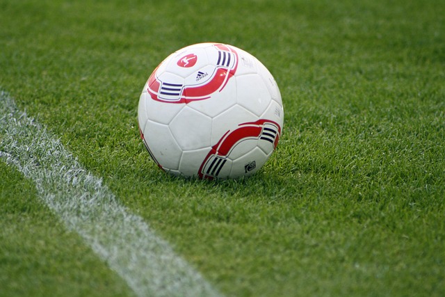 篮所展现出 篮所展现出