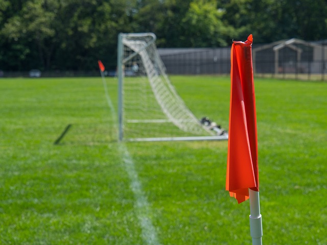 锐的触觉和 锐的触觉和