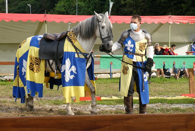 荷兰与德国 荷兰与德国